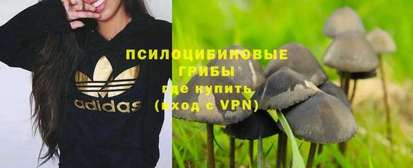 герыч Горнозаводск