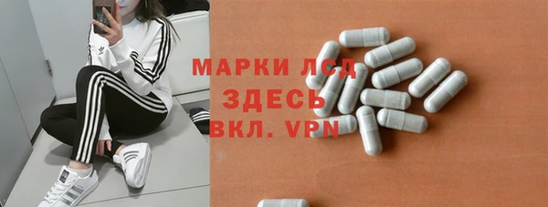 spice Горняк