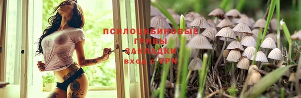 герыч Горнозаводск